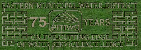 Big Horse Corn Maze layout design 2025